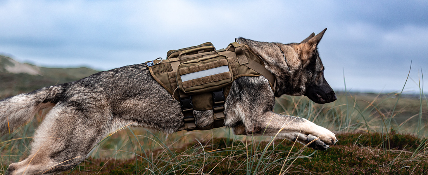 Шлейка для собак OneTigris AIRE MESH, великі породи, тактична, анти-тяга, з 2 ручками, регульована, дихаюча, зелена L (Обіх: 45-63см, Груди: 68-91см)