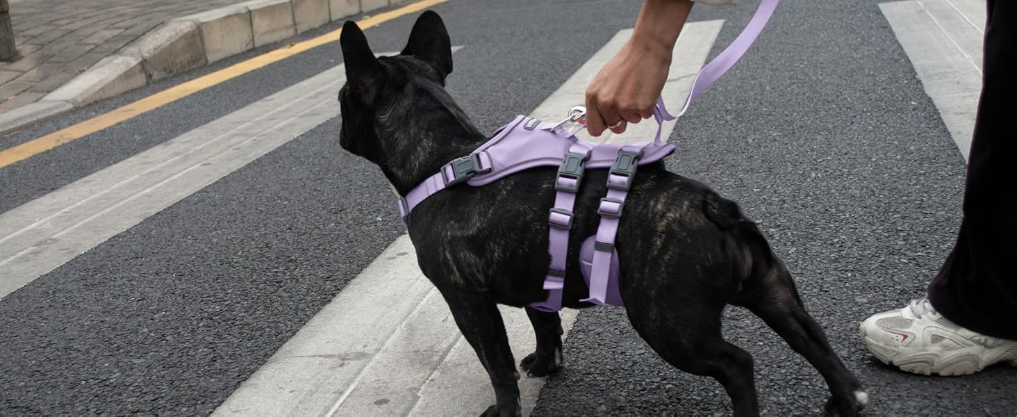 Нашийник для собак з повідком, безпечний нашийник від виривання, анти-тяга, нашийник для собак з ручкою та світловідбиваючими елементами, легкий, регульований, для середніх собак (XS) (Дуже маленький, фіолетовий)