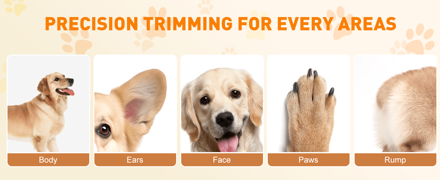 Машинка для стрижки собак і котів, професійна, з 4 насадками, потужний мотор, для тіла, обличчя, вух, лап (срібна)