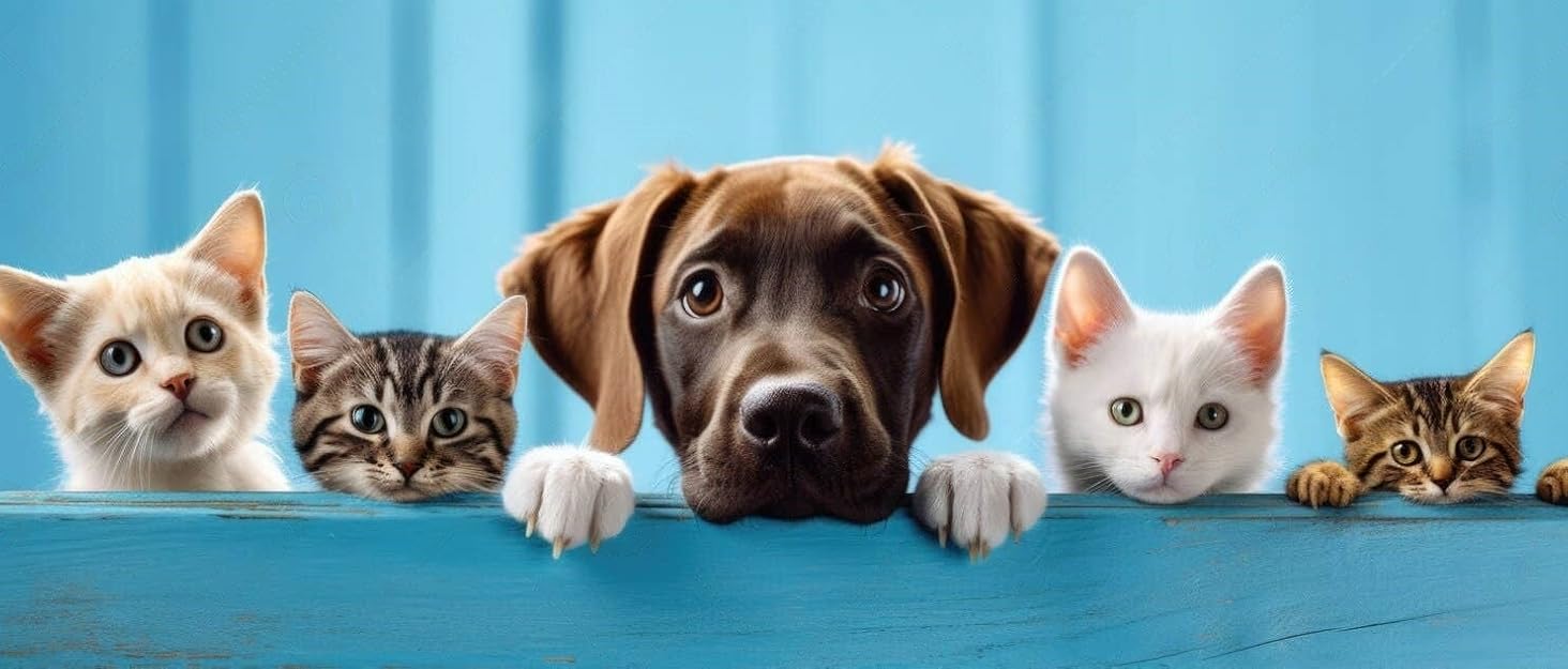 Набір для грумінгу собак та котів: професійні ножиці для стрижки та підстригання шерсті з шкіряною сумкою, нержавіюча сталь