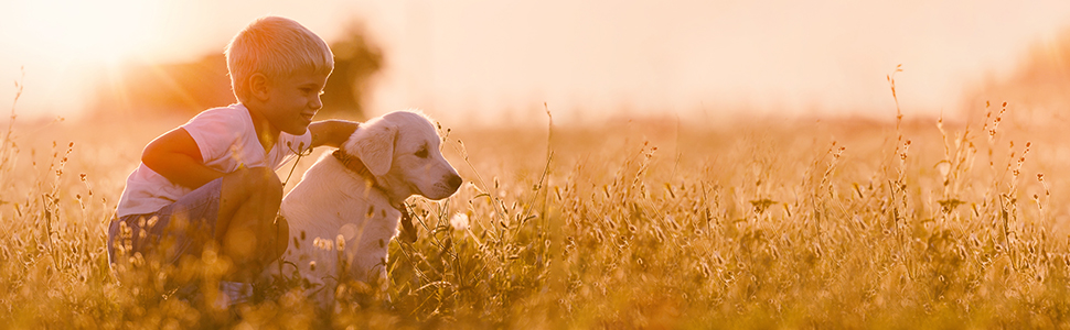 Захисний загороджувач для собак Relaxdays: сітка-гойдалка для дверей та сходів, висота 82.5 см, ширина до 116.5 см, колір натуральний
