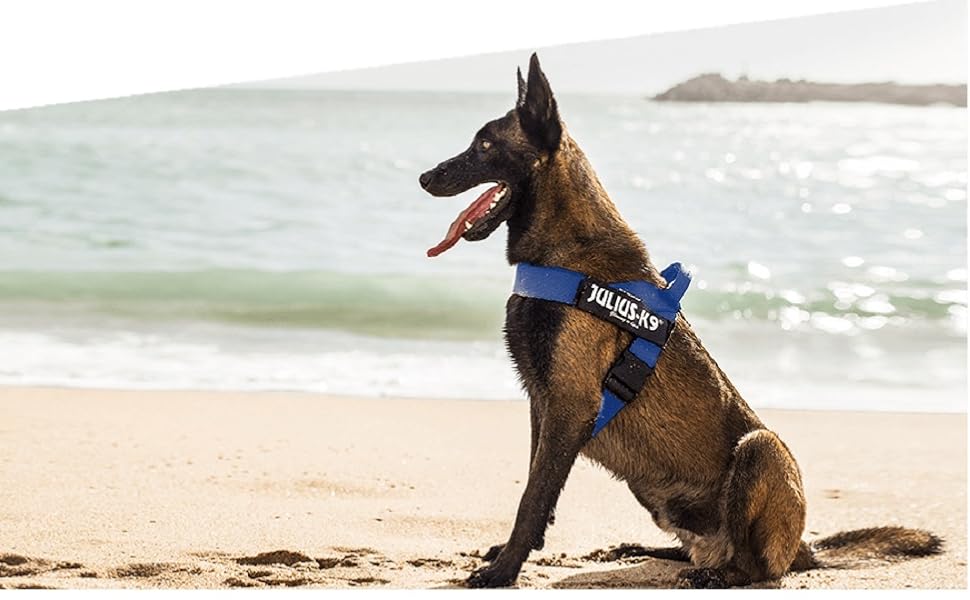 Шлейка Julius-K9 IDC® Color & Gray® (неоновий сірий, XL / 38 см)