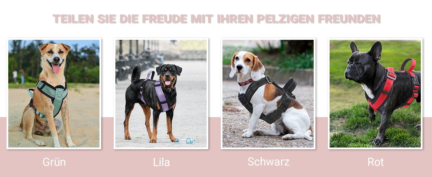 Нашийник для собак LiebeDD чорний XL - комфортний, з ручкою, анти-тяга, для собак середніх розмірів