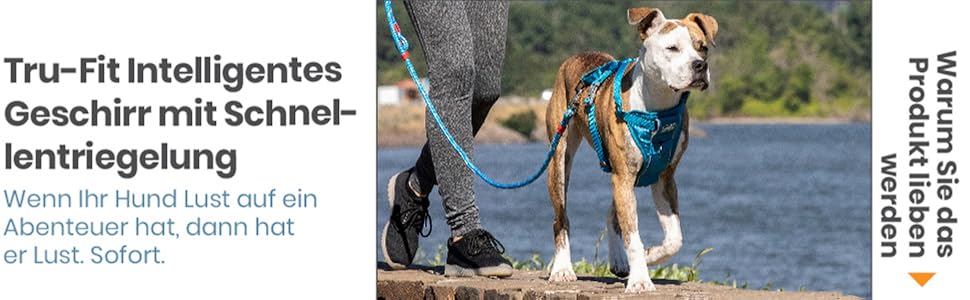 Kurgo TRU-Fit – інтелектуальне обплетення для собак, навчальне обплетення, обплетення проти потягування з кріпленням для безпечного ременя – чорний колір, розмір L