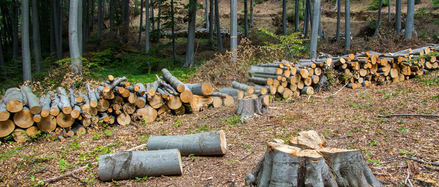 Акумуляторна міні-піла 6 дюймів 880W з чистої міді та блокуванням безпеки. Ідеальна електрична ручна пила для обрізки гілок та дерева в саду. 10000mAh
