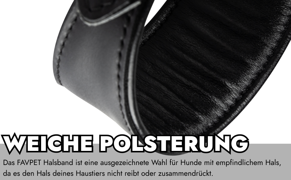 Стильне шкіряне нашийник для породистих собак (Вінтерхаунд, Віпет, Салукі) з QR-кодом, розмір M