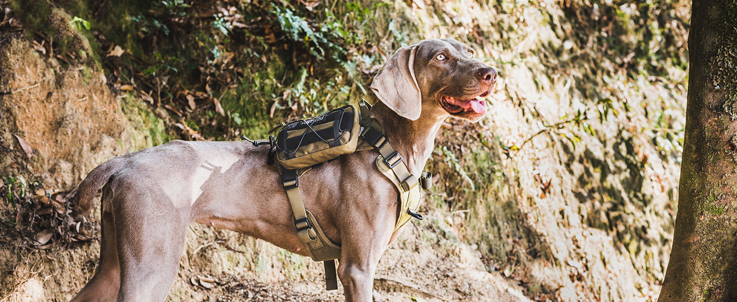 OneTigris EDC сумка для корму для собак, MOLLE кишеня для рюкзака, ідеально підходить для дресирування собак, сумісна з шлейками (2 шт - сірий)