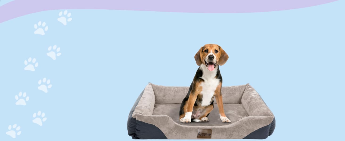 Крісло-ліжко для собак - м'яке ліжко-кошик з високим бортиком, 40x50 см, бежеве