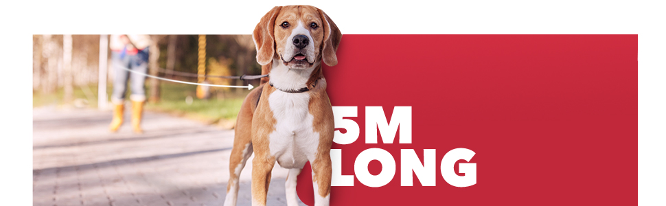 Рулетка для собак FurDreams – міцна висувна поводок (5 м) з надійним гаком для нашийника | Неслизька ручка з блокуванням | Міцний нейлоновий трос, що не заплутується (червоний, великий)