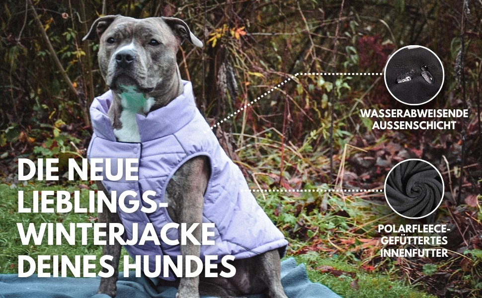 Зимова куртка для собак Spark Paws Warmshield™, теплий фліс, водостійка, вітрозахисна, з відбивачами, для середніх і великих собак, лілова, розмір M (S: 2-5 кг)