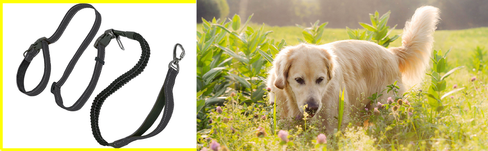 Поводок для собак YankMooM 6-в-1: багатофункціональний, регульований, з надійним амортизатором. Підходить для бігу, прогулянок, тренувань, поїздок в авто з собаками середніх та великих порід. Включає автомобільний ремінь безпеки (1,5 - 2,4 м)