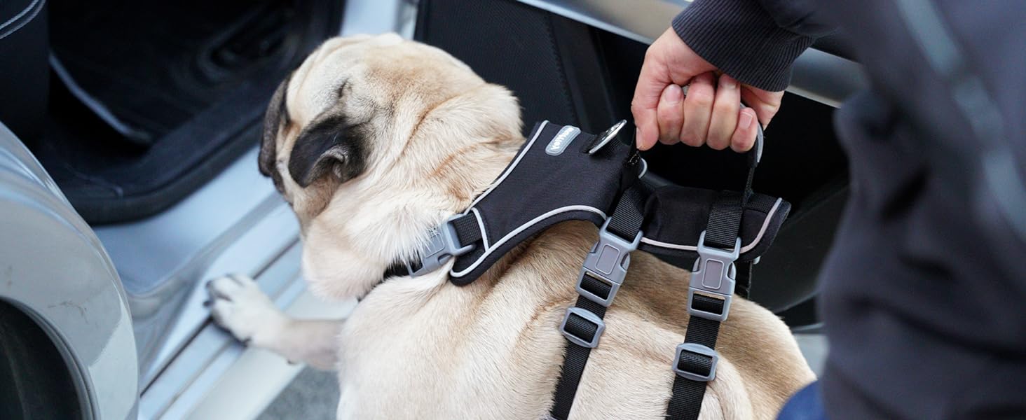 Нашийник для собак з повідком, безпечний нашийник від виривання, анти-тяговий нашийник з ручкою та світловідбиваючими елементами, легкий, регульований нашийник для середніх собак (Чорний, XS). Дуже маленький, чорний