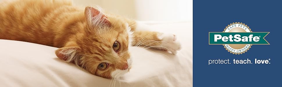 Інтерактивна іграшка для котів PetSafe Cheese з таймером, працює на 3 AA батарейках