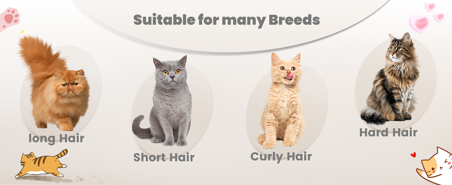 Триммер для собак Pfoten Trim Pro: тиха машинка для догляду за лапами, вухами та обличчям з LED-підсвічуванням, Type-C, чорний