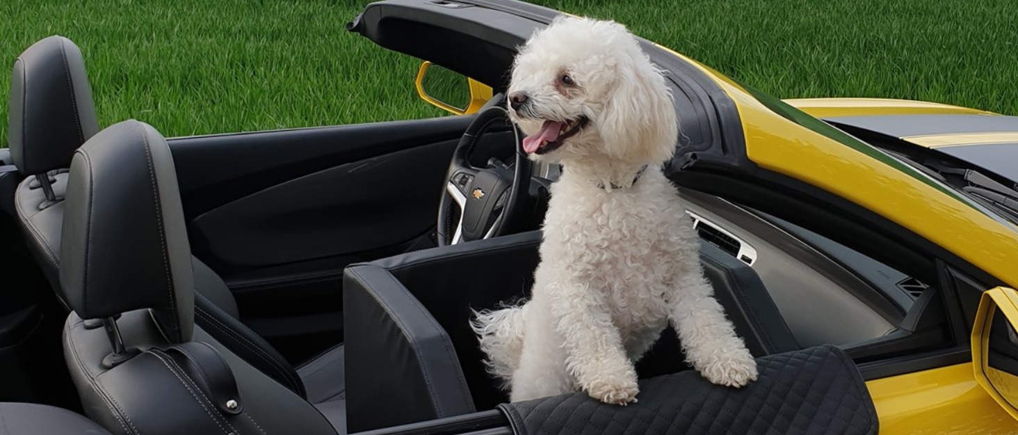 Автокрісло для собак Mayaadi-Home з штучної шкіри, 65x55x25 см, темно-сірий