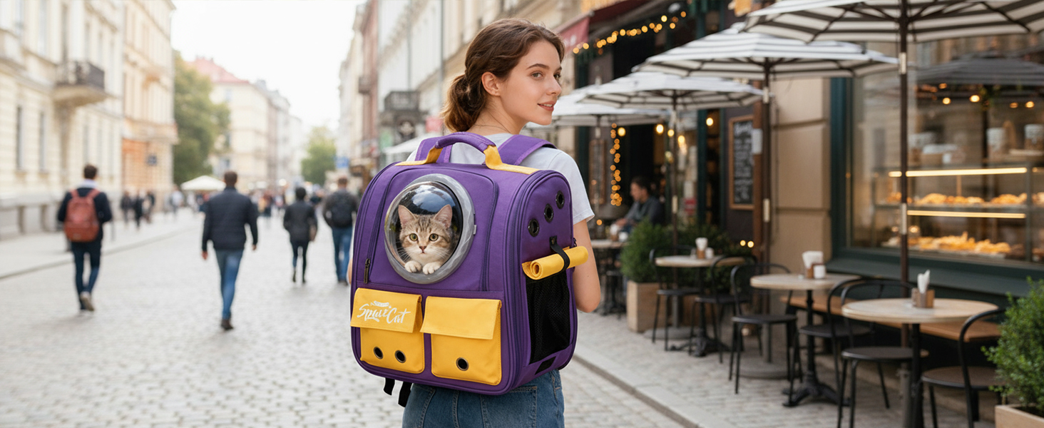 Рюкзак-переноска для кота Galatée, рюкзак для тварин, рюкзак-кокони, рюкзак-капсула з вентиляцією, рюкзак для собак та маленьких собак (сірий)