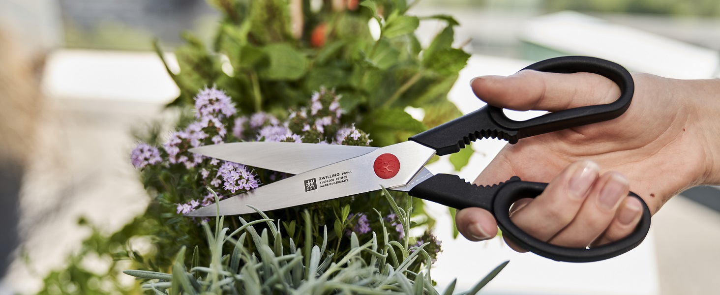 Контейнерний набір для вакуумного зберігання ZWILLING Fresh & Save, розмір L, 3 шт., пластик, La Mer