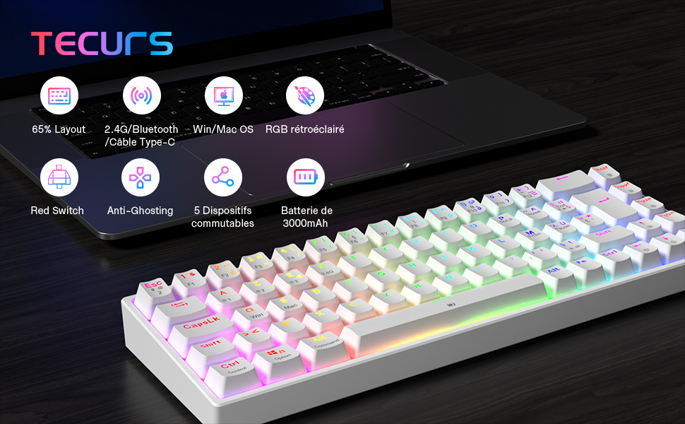 Механічна ігрова клавіатура TECURS бездротова, 80% TKL, підсвічування, Red Switch, QWERTZ, для ПК, ноутбука, Windows, чорно-біла