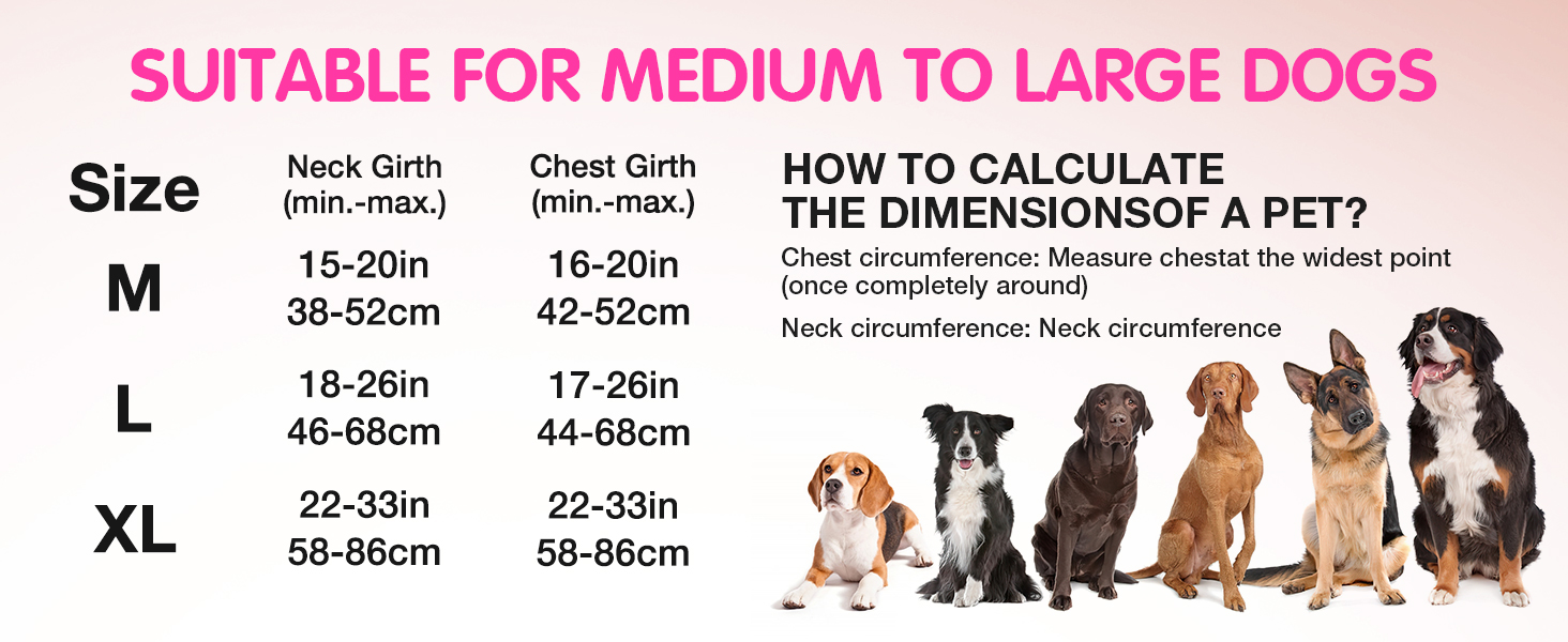 Світловідбиваючий нашийник для собак Jewyow з LED, перезаряджуваний, м'який, регульований, водонепроникний, для середніх та великих собак, зелений (рожевий, M)