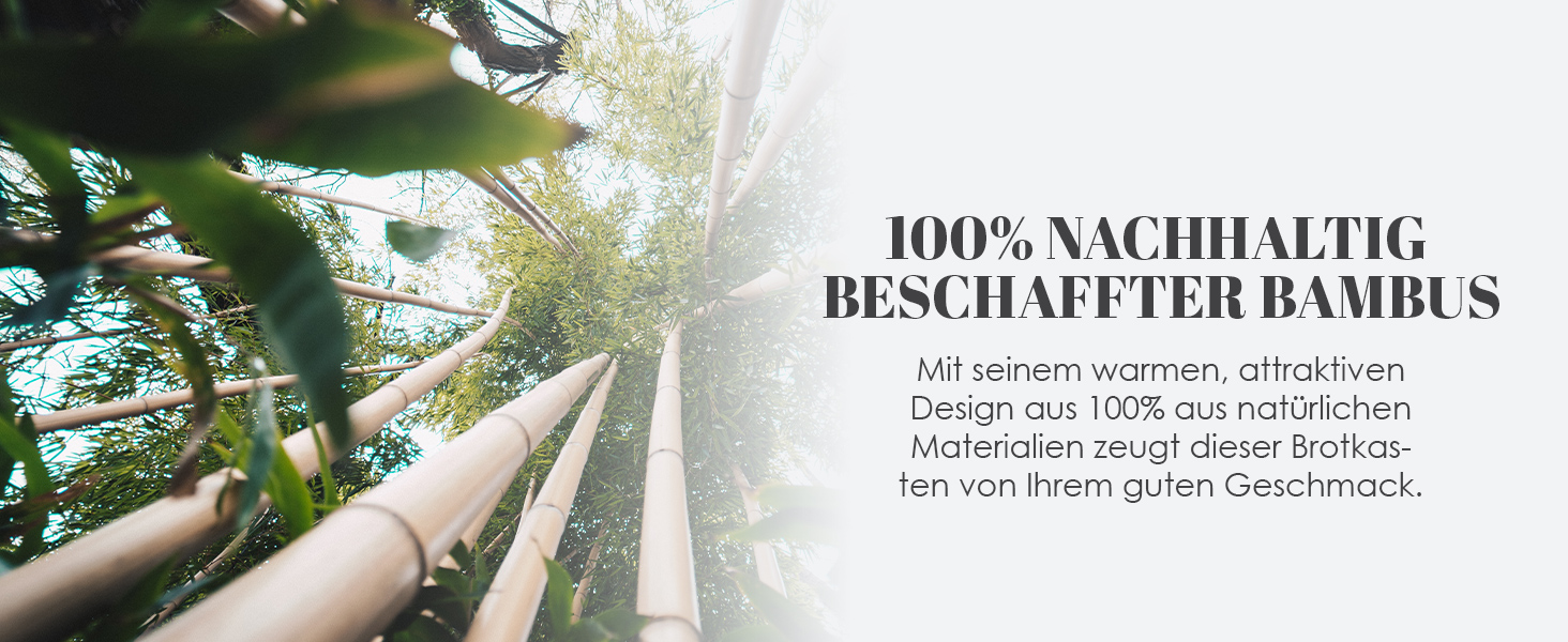 Бамбуковий хлібний ящик Arise з вентиляцією, 2 полиці та вікно, для хліба, бургерів, сендвічів. 40 x 26 x 37 см
