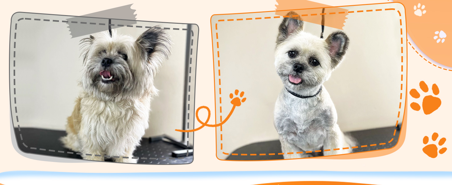 Набір професійних ножиць для грумінгу собак Moontay 7 дюймів: вигнуті, прямі, розріджуючі ножиці