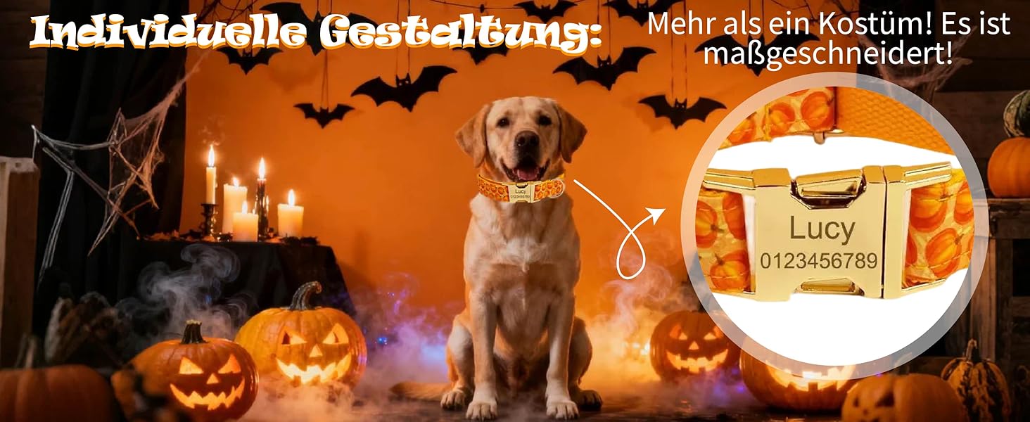 Нашийник для собак з металевою застібкою, двосторонній нашийник з іменем та номером телефону, регульовані розміри для маленьких собак, M та L (на Хелловін)