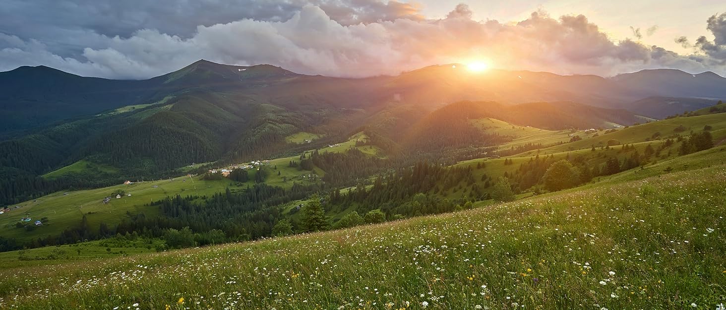 Гамак COVACURE вуличний з москітною сіткою для 2 осіб 270x140 см, вантажопідйомність 200 кг - легкий гамак для кемпінгу, саду, подорожей