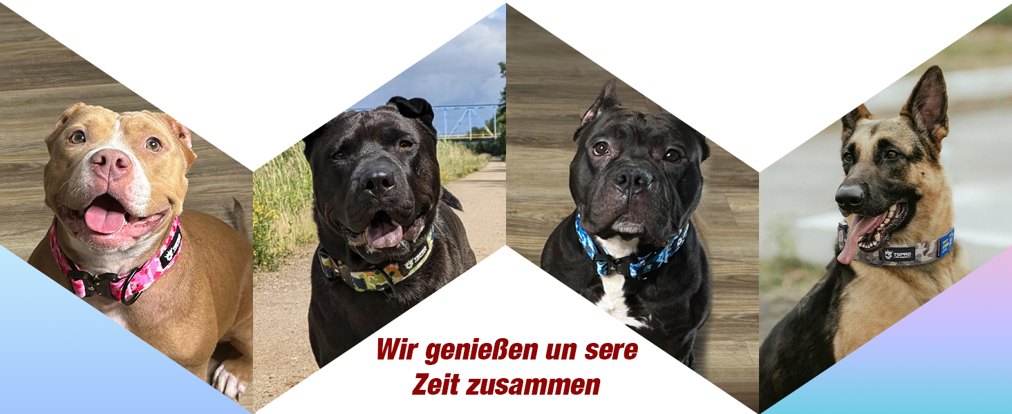 Нашийник для собак TSPRO Premium тактичний, великий, з металевою застібкою, камуфляжний синій, L (47-63.5 см)