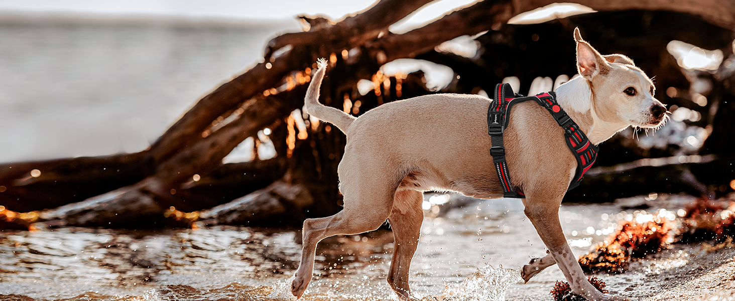 Нашийник для собак Rabbitgoo, великі породи, регульований, анти-тяга, з ручкою, м'який, світловідбиваючий, червоний, L (1 шт.)