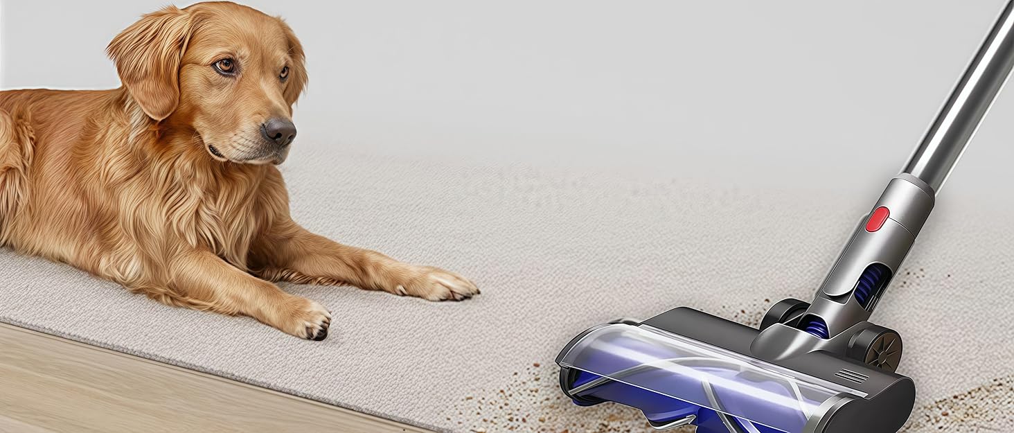 Контейнер для пилу Dyson V11 V15 SV14 SV15 SV17 SV22: фільтр, запчастини, аксесуари