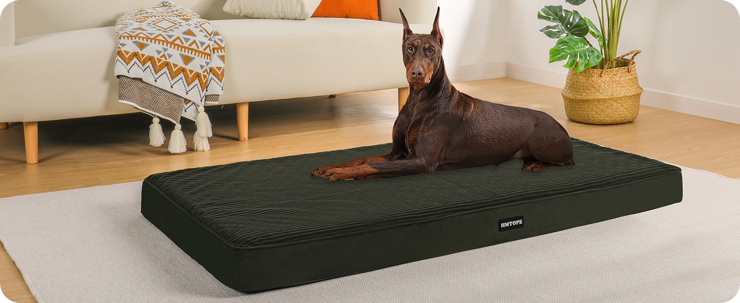 Ортопедичне ліжко для собак, 10 см товщина, для середніх та великих собак, знімний та пральний килимок, неслизьке дно, водонепроникне внутрішнє покриття, 112 см, оливковий колір