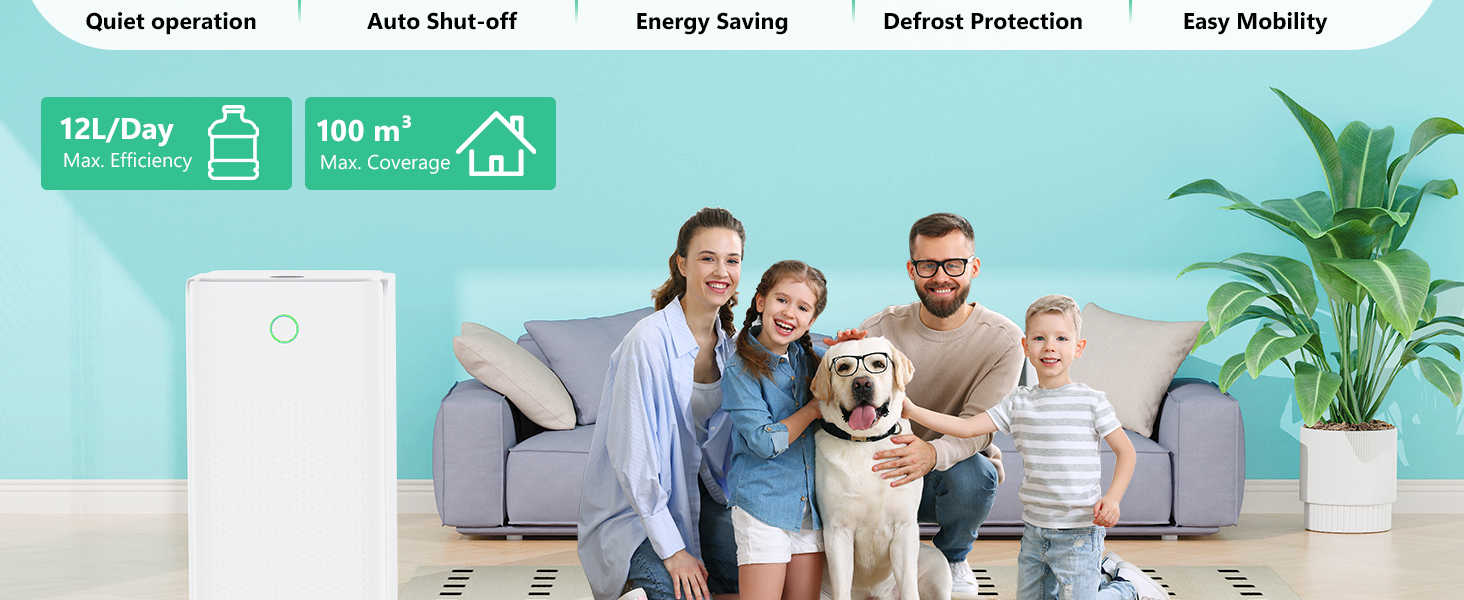 Електричний осушувач повітря 12л/день - тихий, з 3 режимами, таймером, автоматичною відтайкою та енергозбереженням для дому, квартири, підвалу
