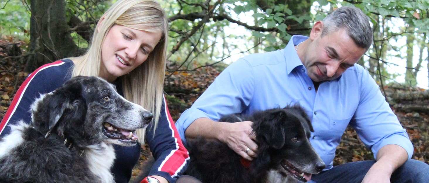 Ошийник для собак MICHUR Carlota, шкіряний, коричневий, з бірюзовими каменями, різні розміри (24-28,5 см)