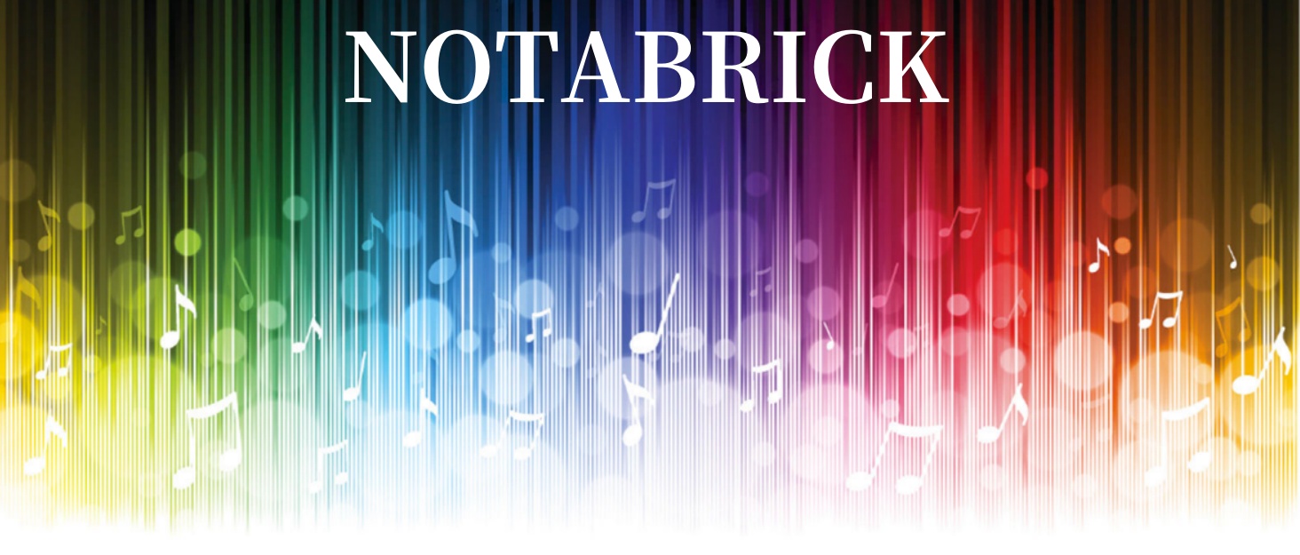 Bluetooth колонка NOTABRICK портативна, водонепроникна IPX67, бездротова 5.0, стерео бас, акумулятор 15 год, підтримка SD/TF/AUX, для дому, вулиці, пляжу, подорожей (чорна)