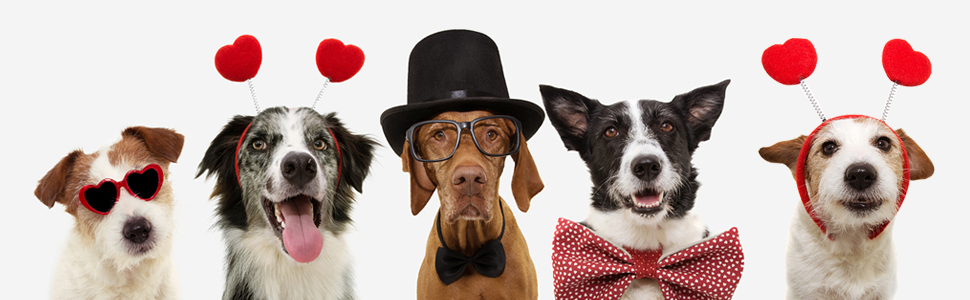 Нашийник для собак зі стразами, м'який велюровий нашийник та поводок, набір, блискучий, регульований, для маленьких та середніх собак та котів, рожевий S, рожевий