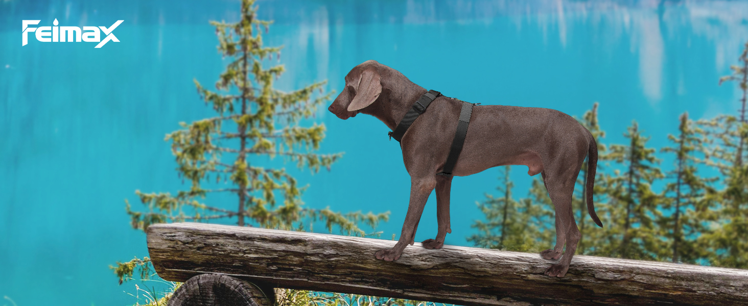 Нашийник для собак FeimaX великих порід, тактичний, зручний, чорний (L)