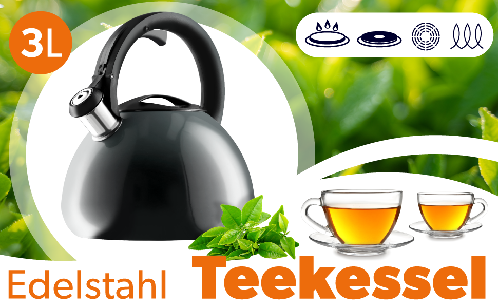 Чайник KADAX з нержавіючої сталі, 3л, з свистком, ретро дизайн, різні кольори, ефект Ombre, (Блакитний/Сірий)