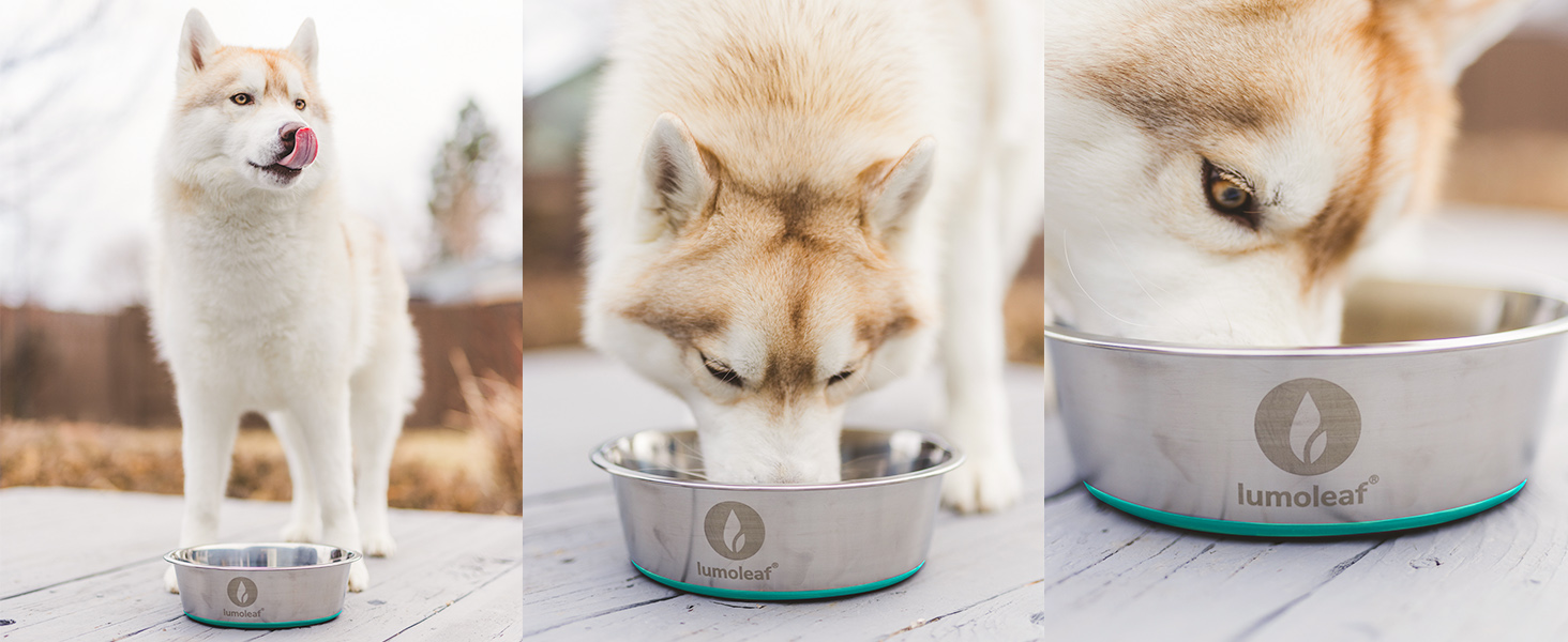 Набір мисок для собак LumoLeaf, нержавіюча сталь, великі, 2 x 3000 мл, з протиковзким силіконовим дном, для великих і середніх собак, миска для їжі та води, придатна для миття в посудомийній машині (подвійний набір)