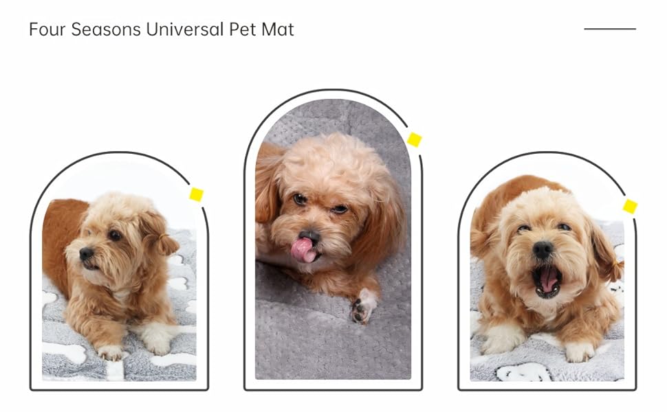 М'який килимок-матрац для собак та котів 60x80 см, білий з принтом кісток