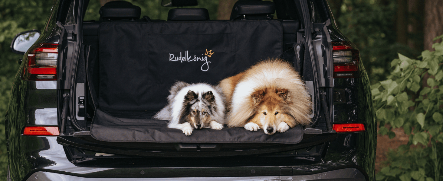 Захист для багажника автомобіля від бруду та подряпин для собак Rudelkönig - Водовідштовхувальна та зносостійка підстилка з кишенею - Універсальний килимок для багажника для собак (Чорний, Базовий)