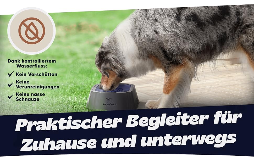 Napfgeflüster® Bella - Миска для води для собак та котів, 1л, не проливається, для подорожей