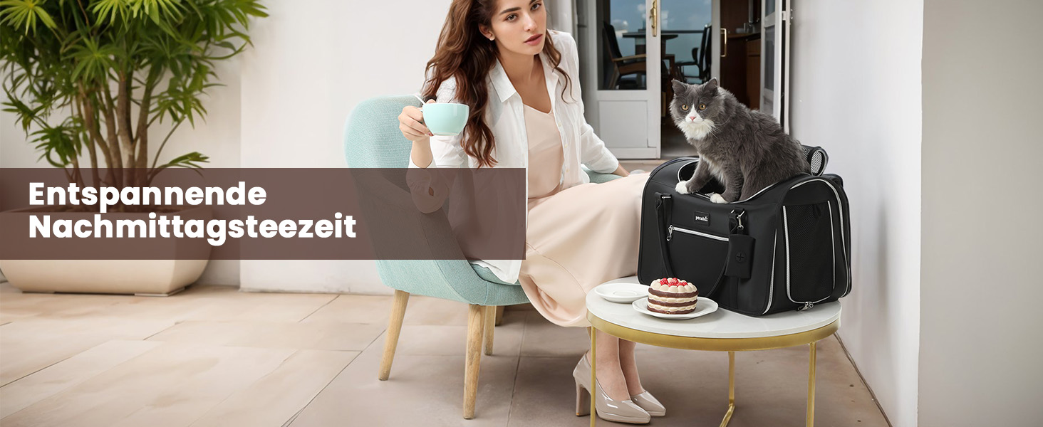 Транспортна переноска для котів та собак Pecute, рожева, з PU-шкіри, для подорожей