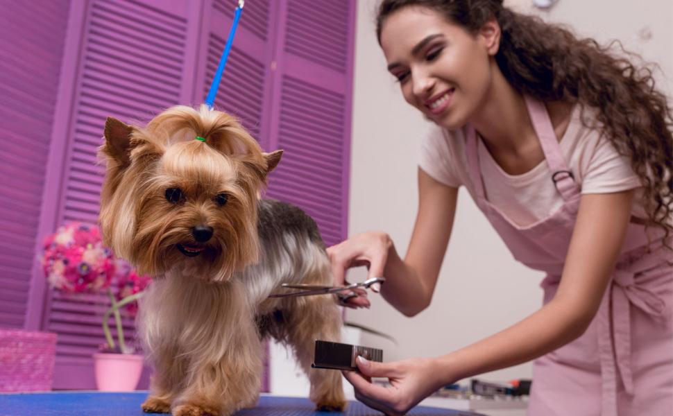 Набір ножиць для собак 5 в 1, нержавіюча сталь, для грумінгу, догляд за шерстю, набір для собак та котів