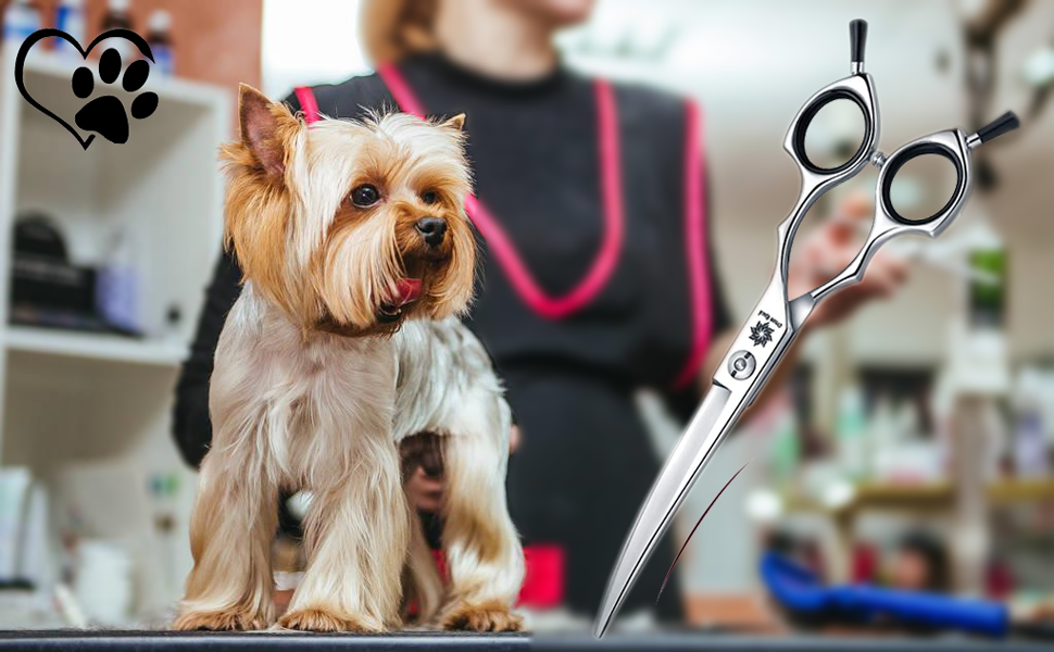 Ножиці для собак Dream Reach 6,5 дюйма, професійні ножиці для грумінгу, 440C нержавіюча сталь, для собак та котів, чорний колір