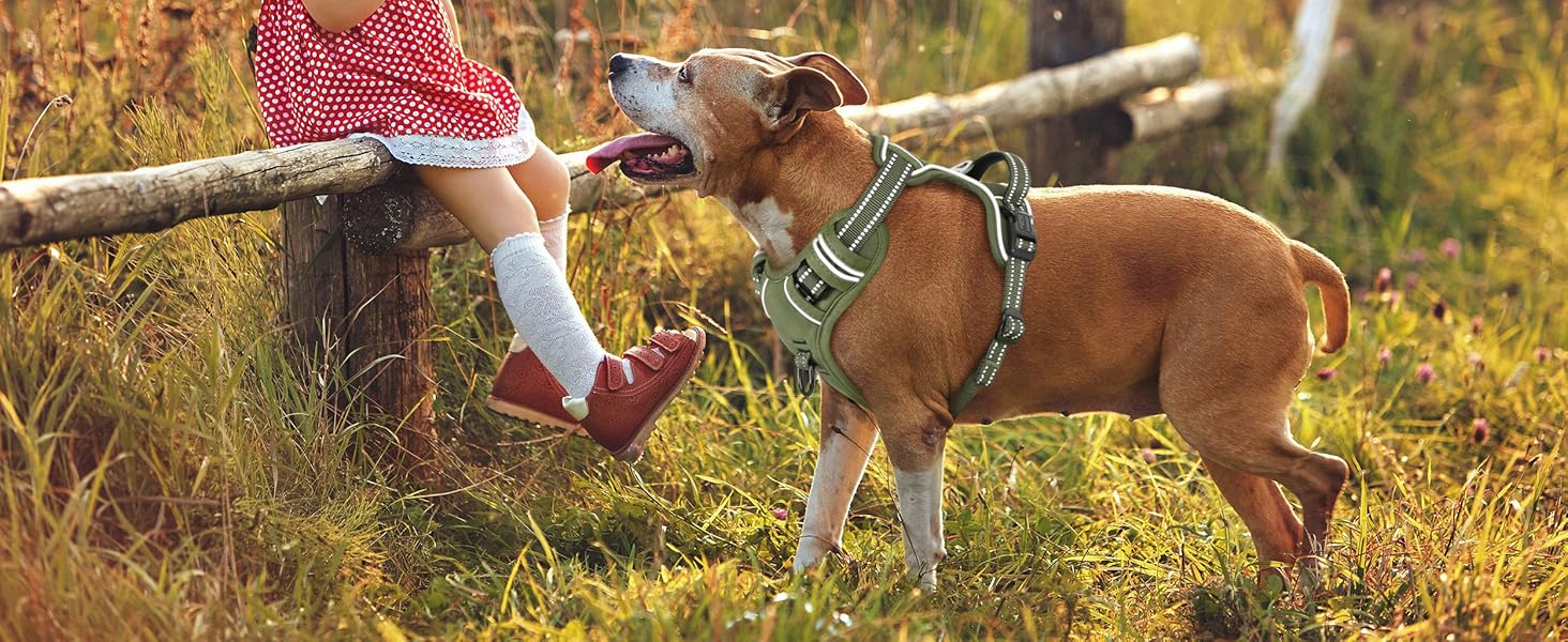 Нашийник для собак HEELE з посиленим кріпленням, світловідбиваючий, з м'якою ручкою, для контролю, 2 металеві кільця, для малих, середніх та великих собак, армійський камуфляж, зелений, M M MC-Armee Grün