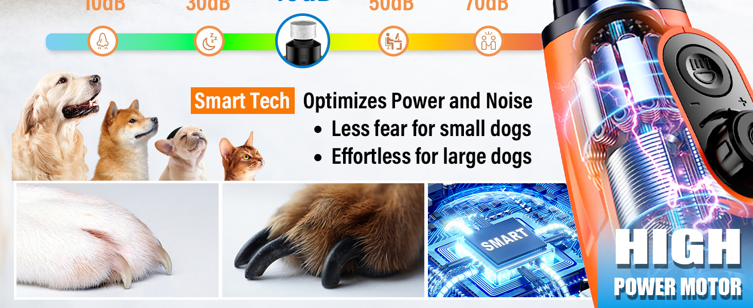 Шліфувальник кігтів для собак Casfuy Smarter Krallenschleifer 6-ступінчатий – 50% потужніший. З 2 LED-лампами, супертихий, перезаряджуваний. Підходить для собак та котів великих, середніх та маленьких порід. Білий (Оранжевий)