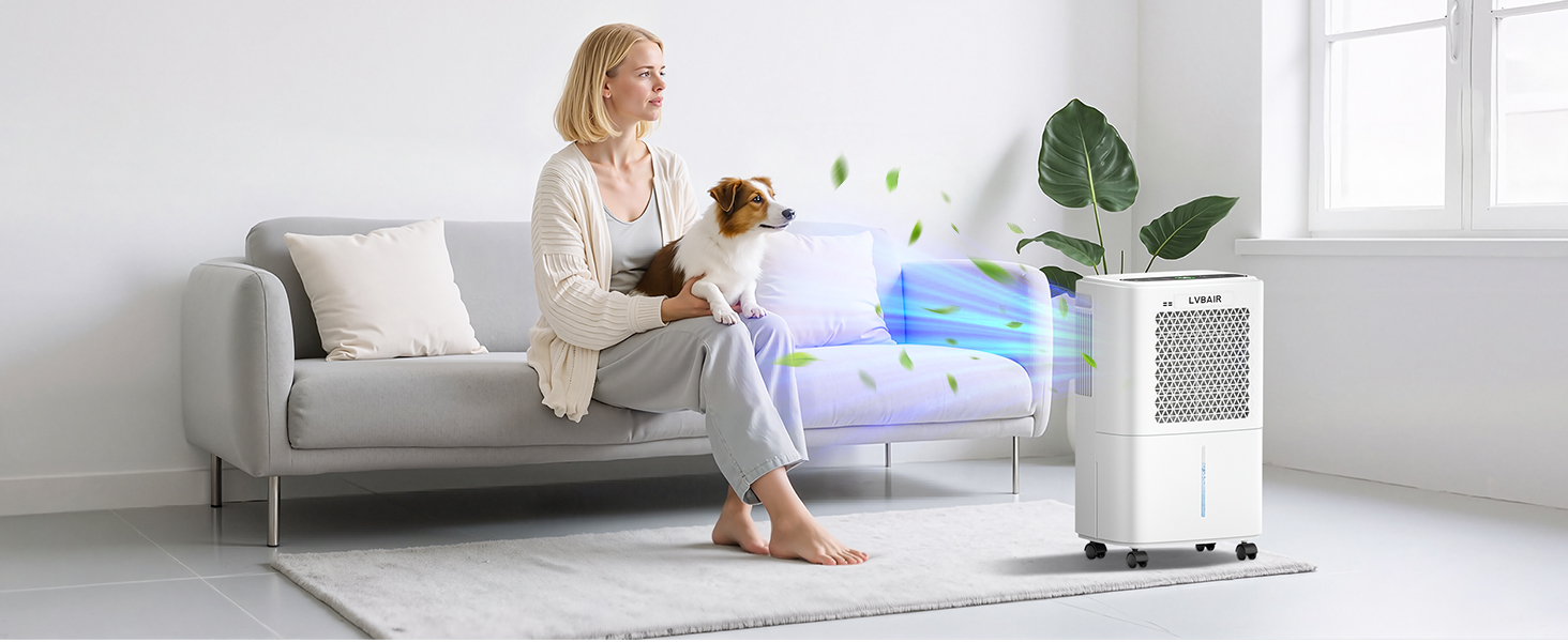 Електричний осушувач повітря 12л/день для 25м²/122м³ – потужне осушення, бак 2л, постійний дренаж, тиха робота, для спальні, підвалу, вітальні