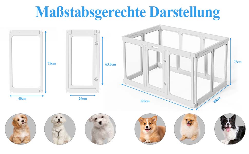 Кіяниця для цуценят SISKEYCOOC 60см з акрилового пластику, прозора, з дверцятами, для собак середніх та маленьких порід, легка у догляді, для дому (10 шт.), білий колір, 60см висота