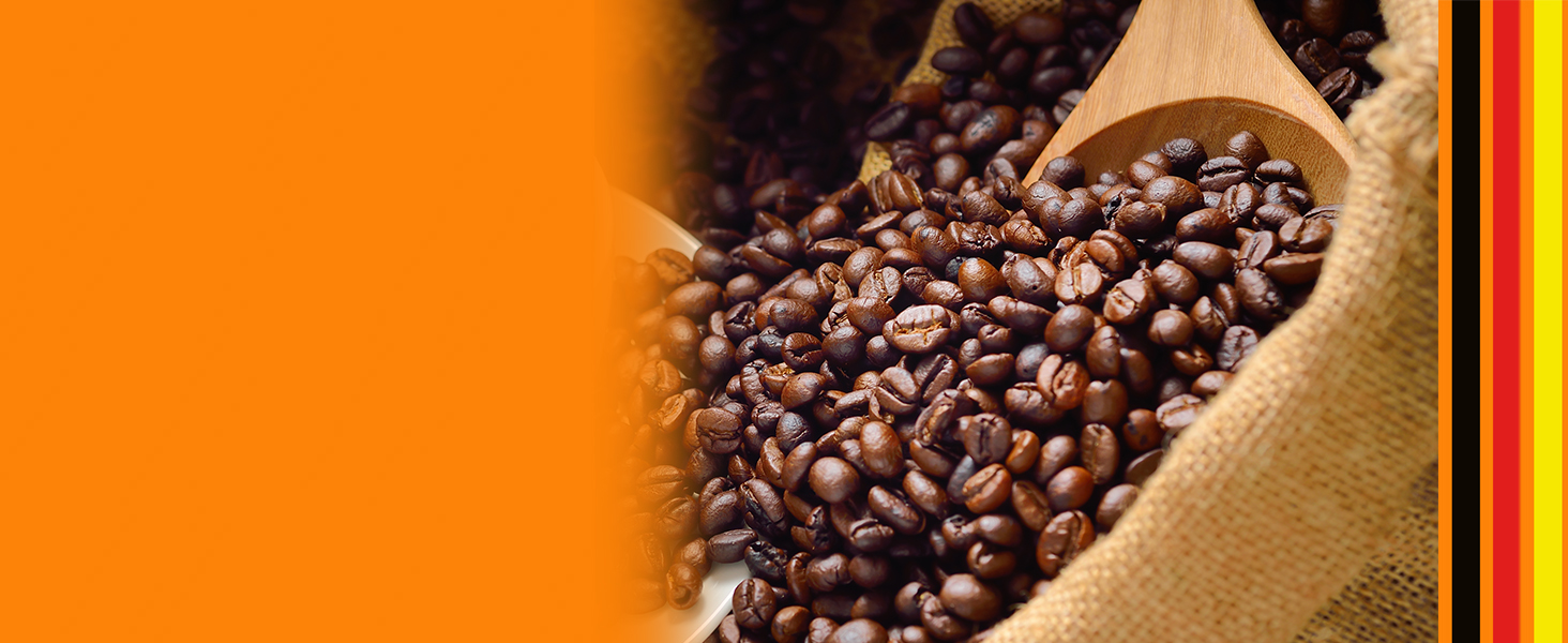 Кавоварка Petra Barista Pro 1,5 л, ріжкова з капучинатором, для еспресо і капучино, 15 бар, 850 Вт