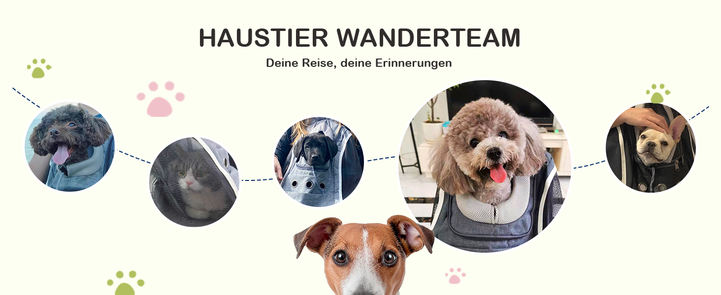 Рюкзак-переноска для собак та котів ALLSOPETS: зручний та дихаючий рюкзак для подорожей з великими котами та маленькими собаками (Світло-сірий)